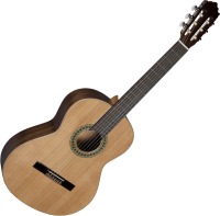 Photos - Acoustic Guitar Paco Castillo Model 201 