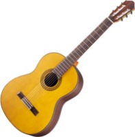 Photos - Acoustic Guitar Walden N660 