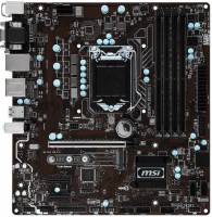 Photos - Motherboard MSI B250M PRO-VDH 