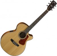 Photos - Acoustic Guitar Cort L100F 