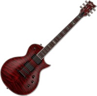 Photos - Guitar LTD EC-1000QM 