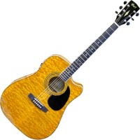 Photos - Acoustic Guitar Cort AD880CEAB 