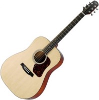 Photos - Acoustic Guitar Walden HD420 
