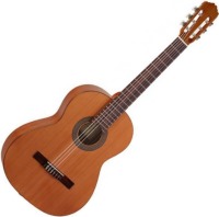 Photos - Acoustic Guitar Antonio Sanchez S20 Cedro 
