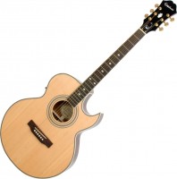 Photos - Acoustic Guitar Epiphone PR-5E 