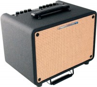 Photos - Guitar Amp / Cab Ibanez Troubadour T30 