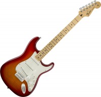 Photos - Guitar Fender Standard Stratocaster Plus Top 