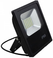 Photos - Floodlight / Garden Lamps LEDEX 20W Premium 12733 