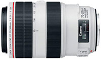 Camera Lens Canon 70-300mm f/4.0-5.6L EF IS USM 