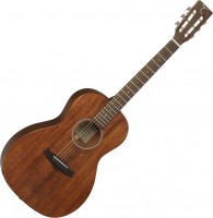 Photos - Acoustic Guitar Tanglewood TW133 ASM 