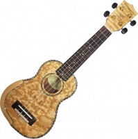 Photos - Acoustic Guitar Parksons UK21FS 