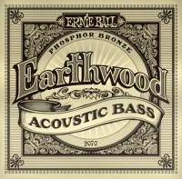 Photos - Strings Ernie Ball Earthwood Phosphor Bronze 45-95 
