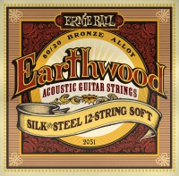 Photos - Strings Ernie Ball Earthwood 80/20 Bronze Silk 12-String 9-46 