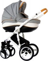 Photos - Pushchair RETRUS Alpina  2 in 1