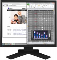 Monitor Eizo FlexScan S1934 19 "  black