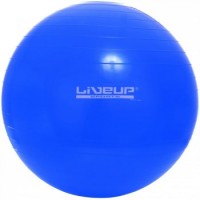 Photos - Exercise Ball / Medicine Ball LiveUp LS3221-65 