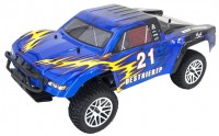 Photos - RC Car HSP Rally Monster 1:10 