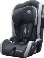 Photos - Car Seat Rant Fortune 