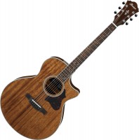 Photos - Acoustic Guitar Ibanez AE245 