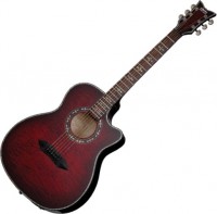 Photos - Acoustic Guitar Schecter Hellraiser Studio AC 