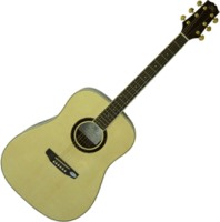 Photos - Acoustic Guitar SX DG180 