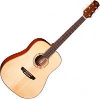 Photos - Acoustic Guitar SX DG30 