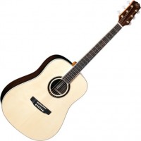 Photos - Acoustic Guitar SX DG50 