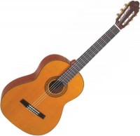 Photos - Acoustic Guitar Valencia CG180 