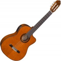 Photos - Acoustic Guitar Valencia CG190CE 