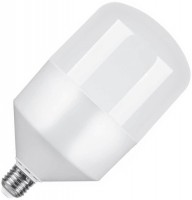 Photos - Light Bulb Biom BT-100 T100 25W 4500K E27 