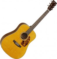 Photos - Acoustic Guitar Tanglewood TW40 D AN E 
