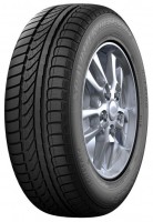 Photos - Tyre Dunlop SP Winter Response 185/60 R14 86T 
