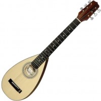 Photos - Acoustic Guitar Hora Travel S1250 