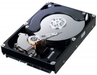 Photos - Hard Drive Samsung SpinPoint F2 HD103SI 1 TB