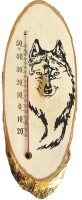 Photos - Thermometer / Barometer Steklopribor 300091 