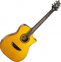 Acoustic Guitar Cort LUXE 