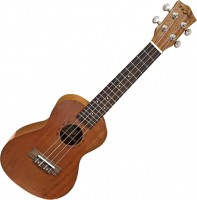 Photos - Acoustic Guitar Fzone FZU-110M 