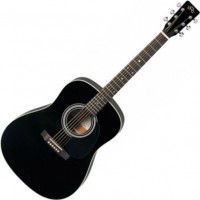 Photos - Acoustic Guitar SX MD160 