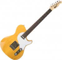 Photos - Guitar Cort Classic TC 