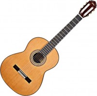 Photos - Acoustic Guitar Manuel Rodriguez FC Abeto Spruce 