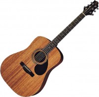Photos - Acoustic Guitar Greg Bennett D1 