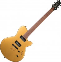 Photos - Guitar Godin LG SP90 