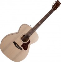 Acoustic Guitar Art & Lutherie Legacy 
