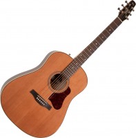 Photos - Acoustic Guitar Seagull Coastline Momentum A/E 