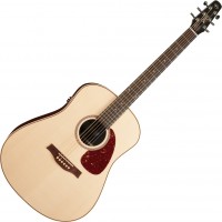 Photos - Acoustic Guitar Seagull Maritime SWS Rosewood SG QIT 