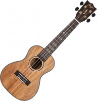 Photos - Acoustic Guitar Flight DUC-450 