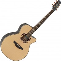 Acoustic Guitar Takamine TSF48C 