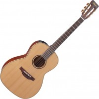 Acoustic Guitar Takamine P3NY 