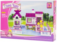 Photos - Construction Toy Ausini Fairyland 24501 