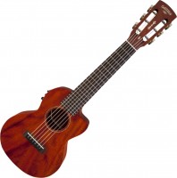 Acoustic Guitar Gretsch G9126 A.C.E. 